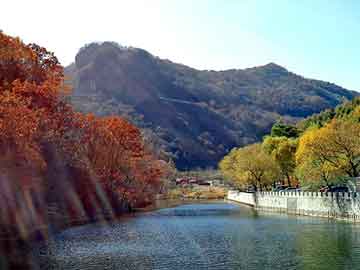 澳门天天免费精准大全，湿地松种子价格